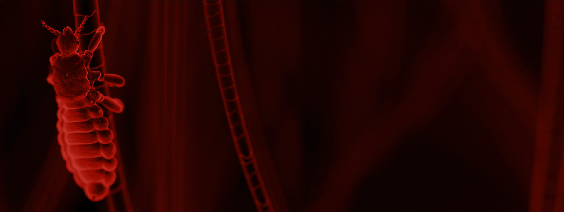 Natroba™ (spinosad) & Head Lice For Healthcare Professionals